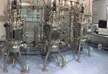 Cervical Cancer Vaccine Project of Jiangsu RKSW Pharmaceutical Technology Co., Ltd.