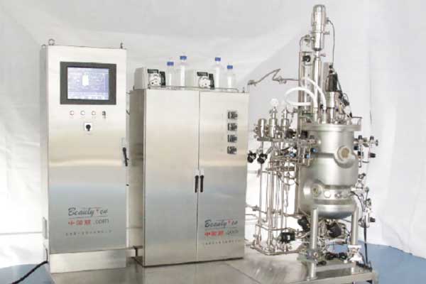 Top Mounted Magnetic Agitator