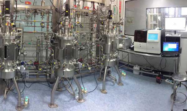 Automated On-line Sampling System